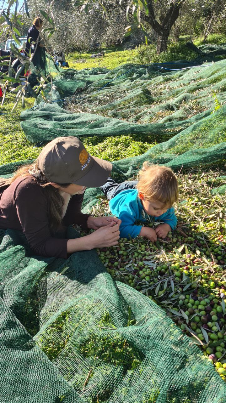 Mom with son lying in front of olives - traceable olive oil tree locator