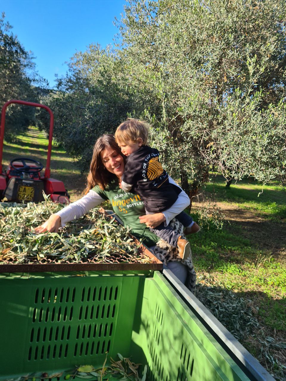 woman holding a toddler sorting olives