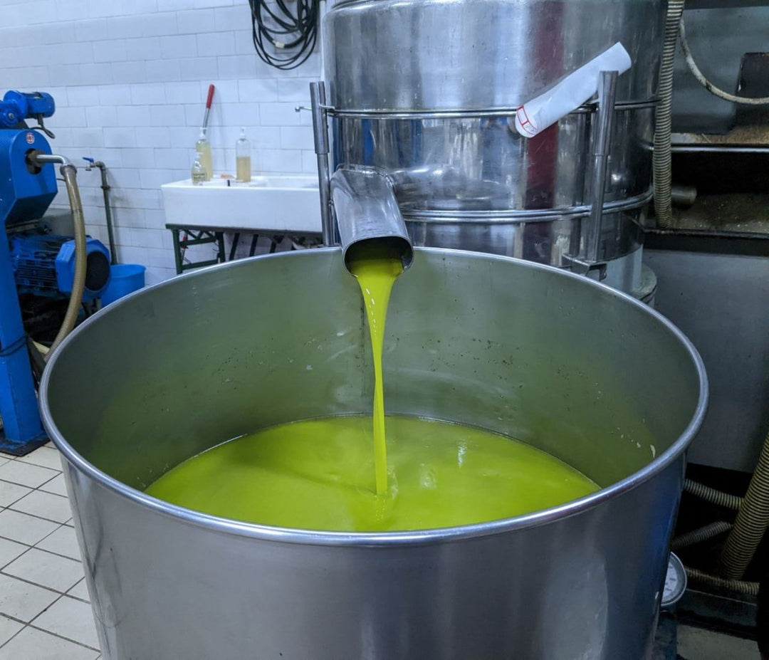 How is Olive Oil Made? Step-by-Step Guide - Obìa Olive Oil