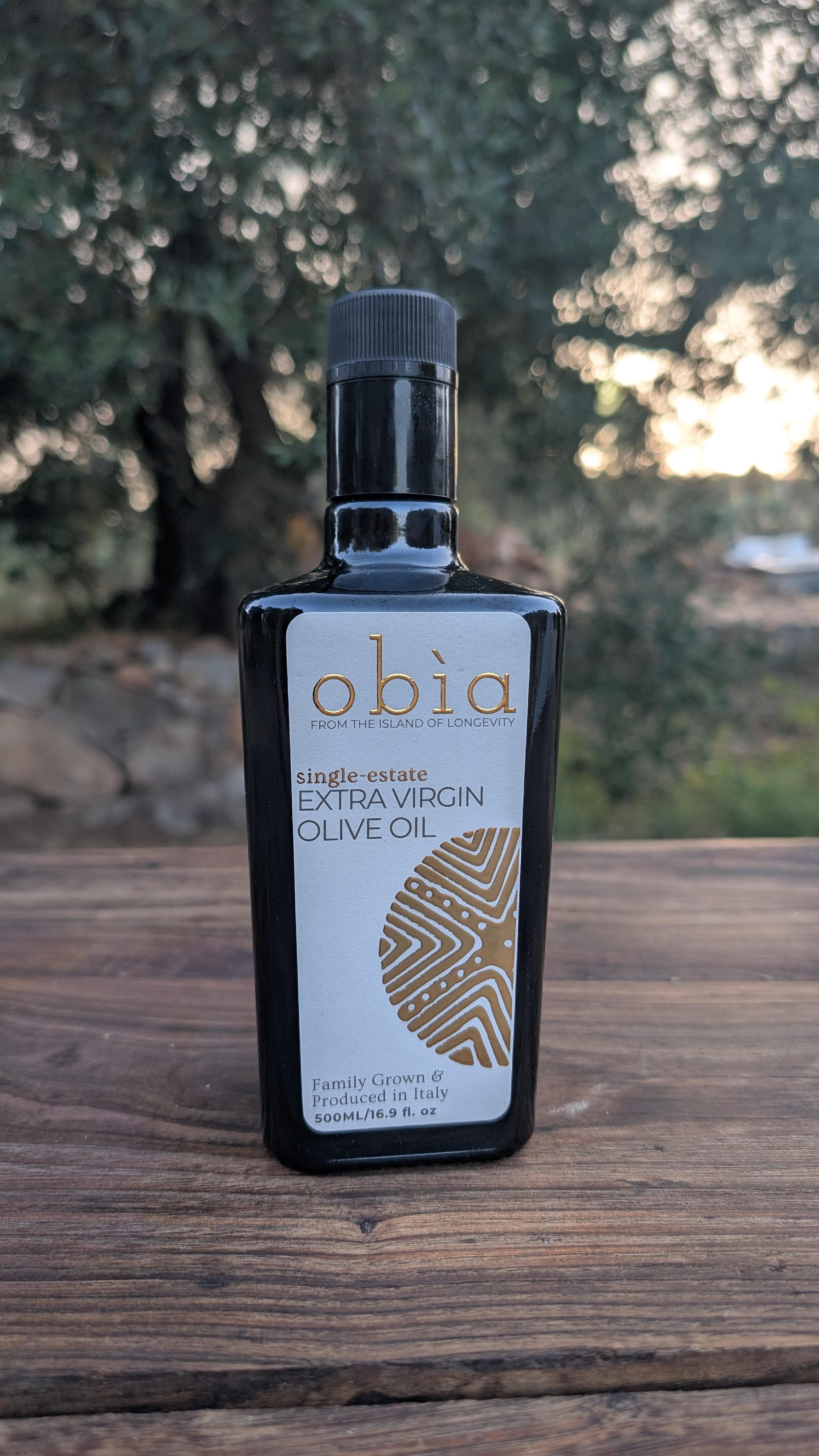 Olive Grove Tour, Aperitivo & Tasting – Obìa Olive Oil